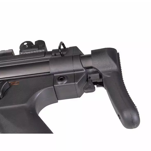 assa.jpg