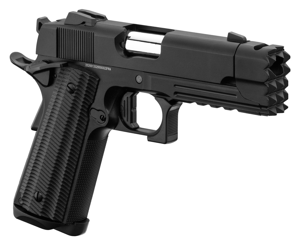PG1125-02.jpg