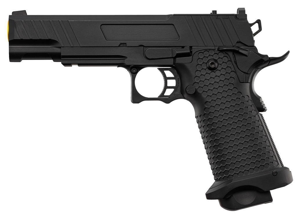 PG1136-01.jpg
